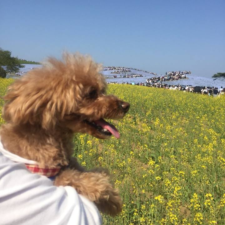 7e68541e 14d3 4bd3 9160 5a5084ea6567 1524298366573