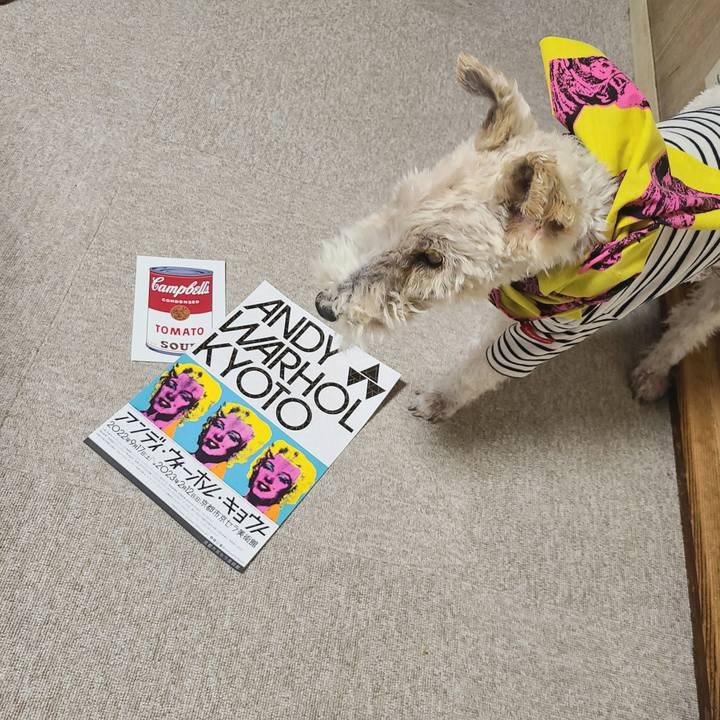 7e68d2a5 f1a7 4bd6 af70 0cb94d480d97 1675693735212