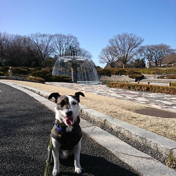 7e69375b 0eb1 4179 8e5a 8445e229be41 1519883210070