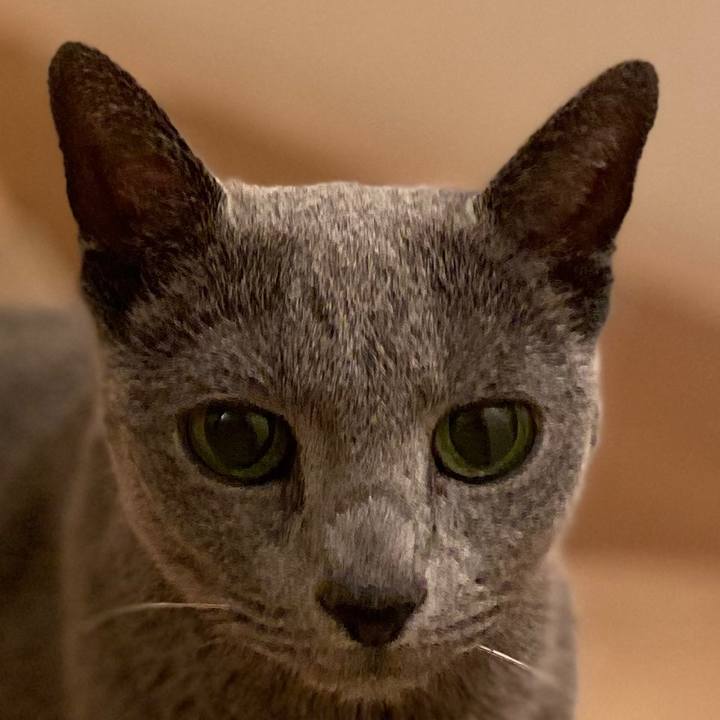 7e69683f fdc0 4b46 a700 fea94a8b19ce 1583708950707