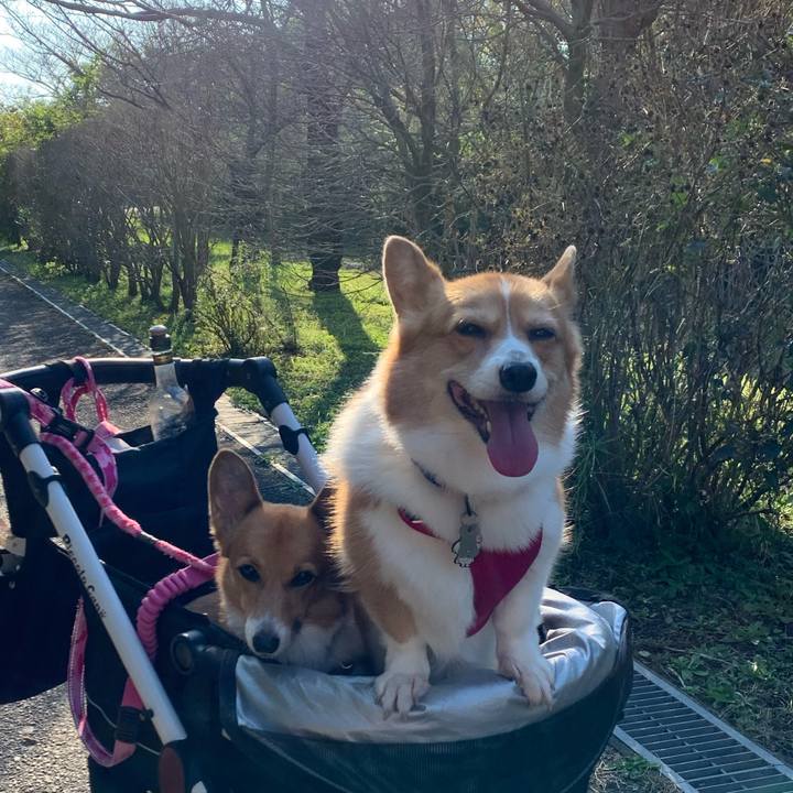 7e697b3d 2280 47c4 bbaa 6f68bcbac985 1603182713801