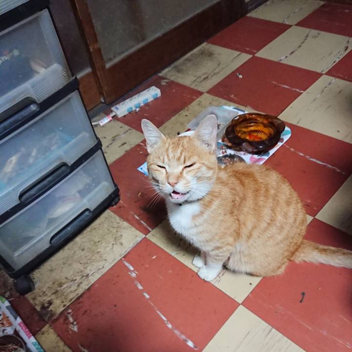 7e698d7a a64e 470f 9fba bb9abbbf57a8 1589660446326