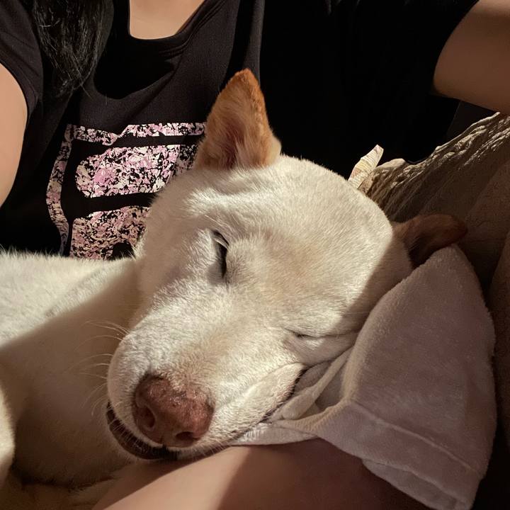 7e69a52f 8c79 498a 95ee a45579d3661e 1654534009561