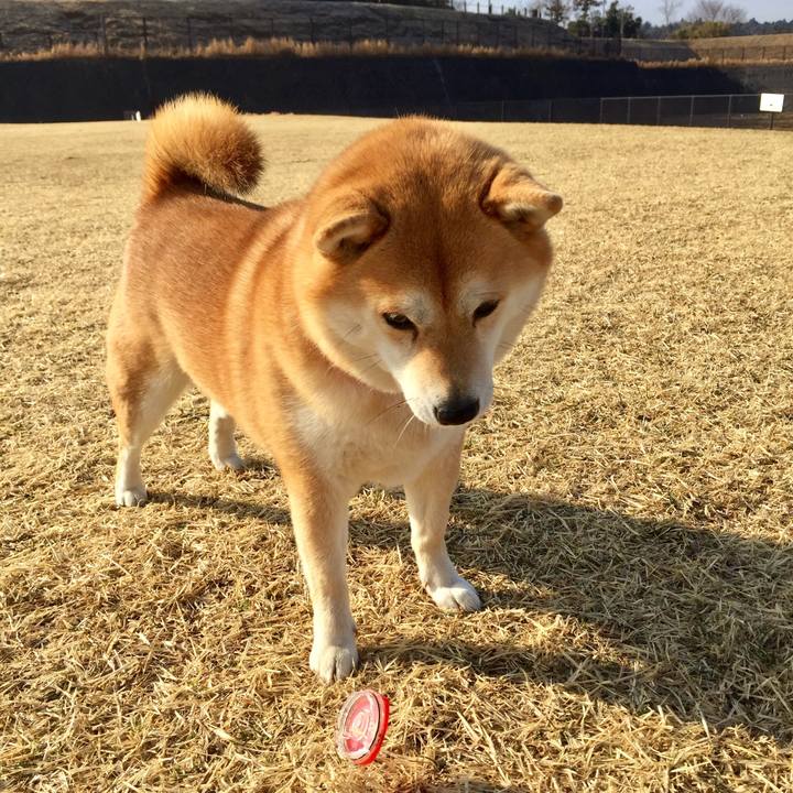 7e6a0d0f 2104 48e2 b407 0fe5e9a62ae6 1519449205431