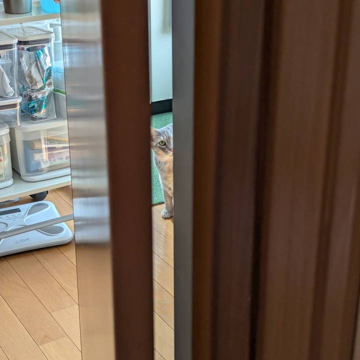 7e6ab020 7892 40db 9220 39efb796ef1e 1773192104255