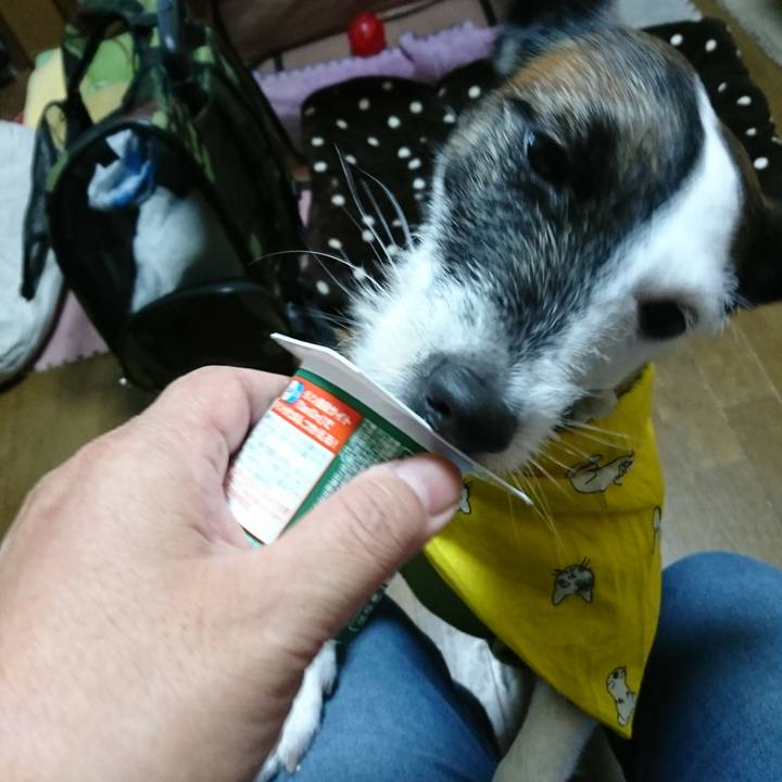 7e6aba34 05e3 4f86 a65e b459ac5a3a62 1509146628557