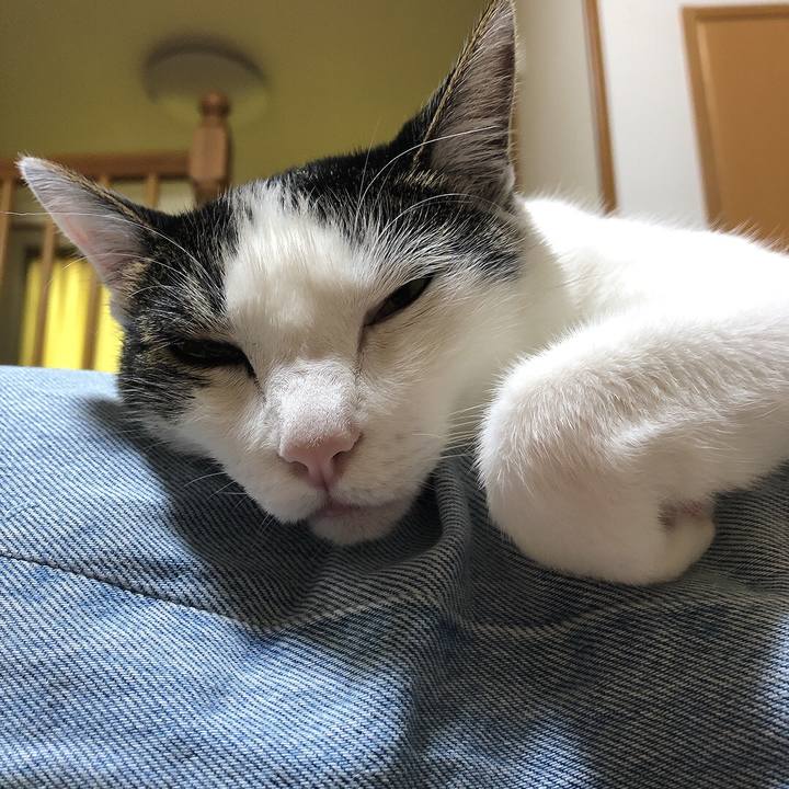 7e6ad432 0afa 4fd0 9ccf 7bd9dbef30ac 1658008864273