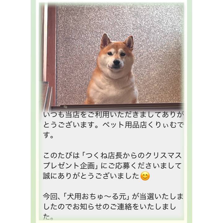 7e6b10b6 a35c 4402 a9a9 f79bfeb13f2e 1702286208549