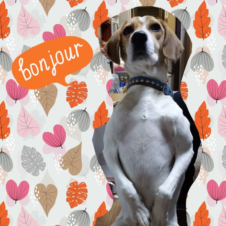 7e6b2020 1681 4b28 bc54 8cde3a8f06d9 1605602208652