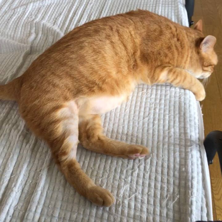 7e6b332b 92fa 47ac 8110 7c11eb476c01 1656364618912