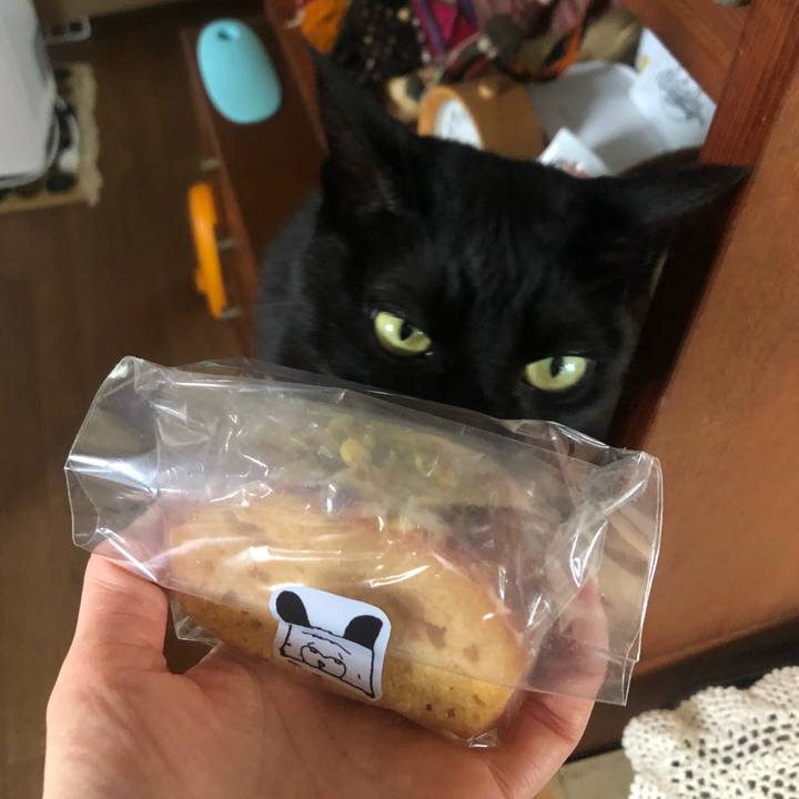 7e6b6fc9 f685 45d3 bfa1 ebb092122703 1617236487276