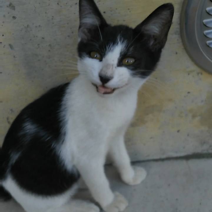 7e6b9866 98c5 4845 9d8a bb6cd5a50b87 1532506928951