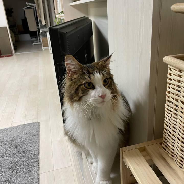 7e6bca81 2158 4fe7 9139 14bf45f9f9c4 1642107384822