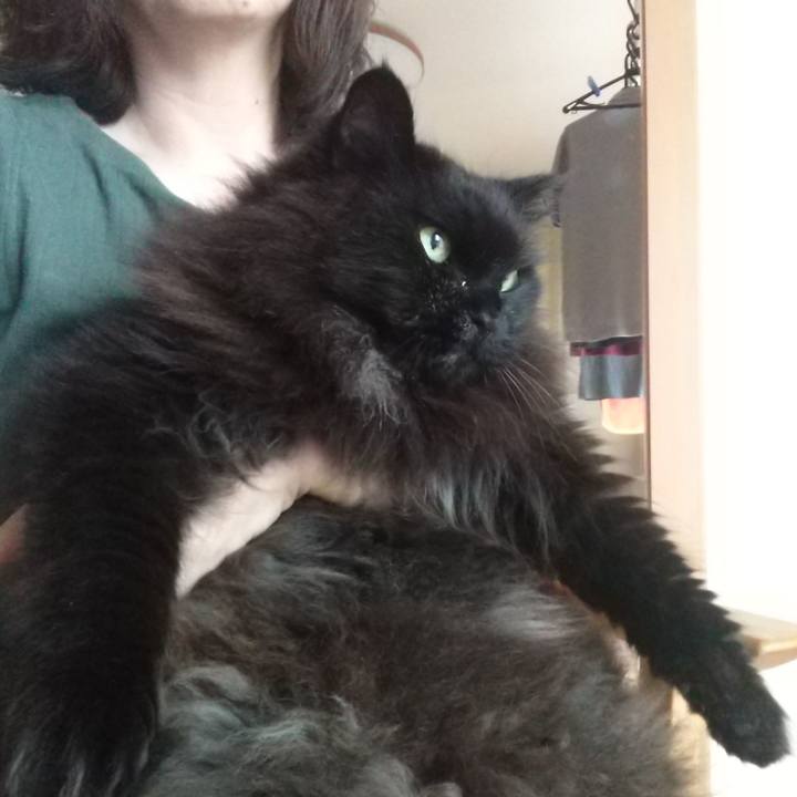 7e6bd72e 2b20 4743 a698 f79f671b5949 1688892076932