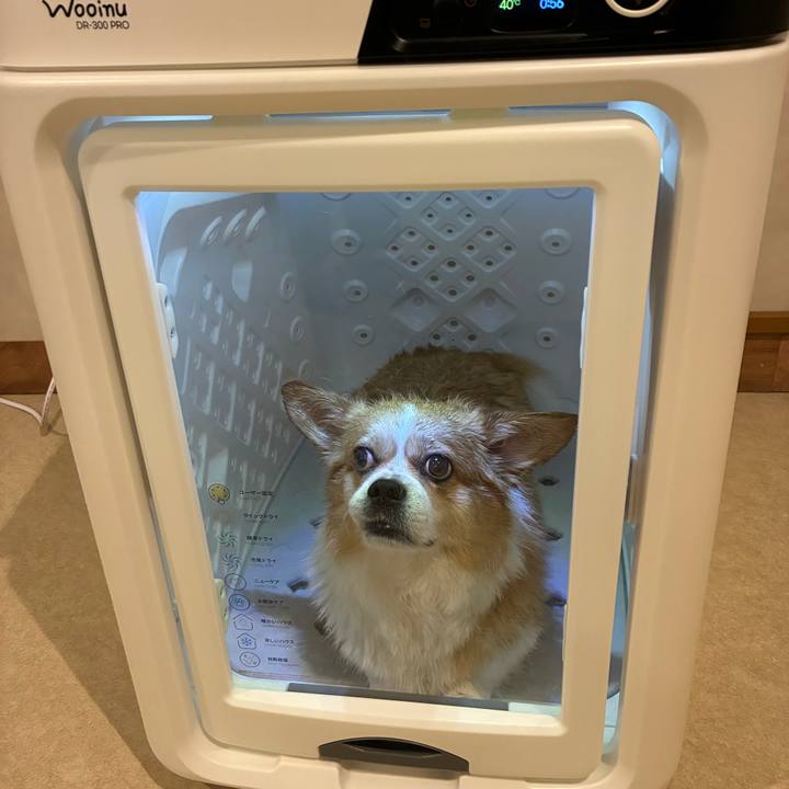 7e6c0a76 4f30 4583 b434 d3a14e55f77f 1752410277838