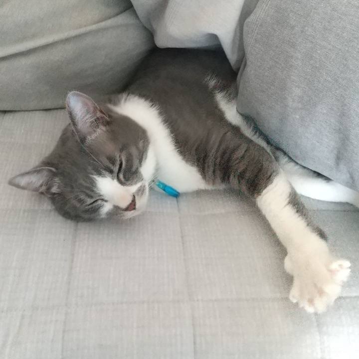 7e6c0c85 98e9 4a62 a5f0 e8cc8975afba 1617276349814