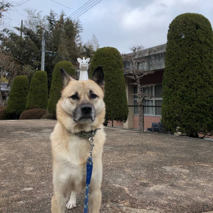 7e6c7d4d d1f2 44b3 a30b a4bb12000c96 1609327071641