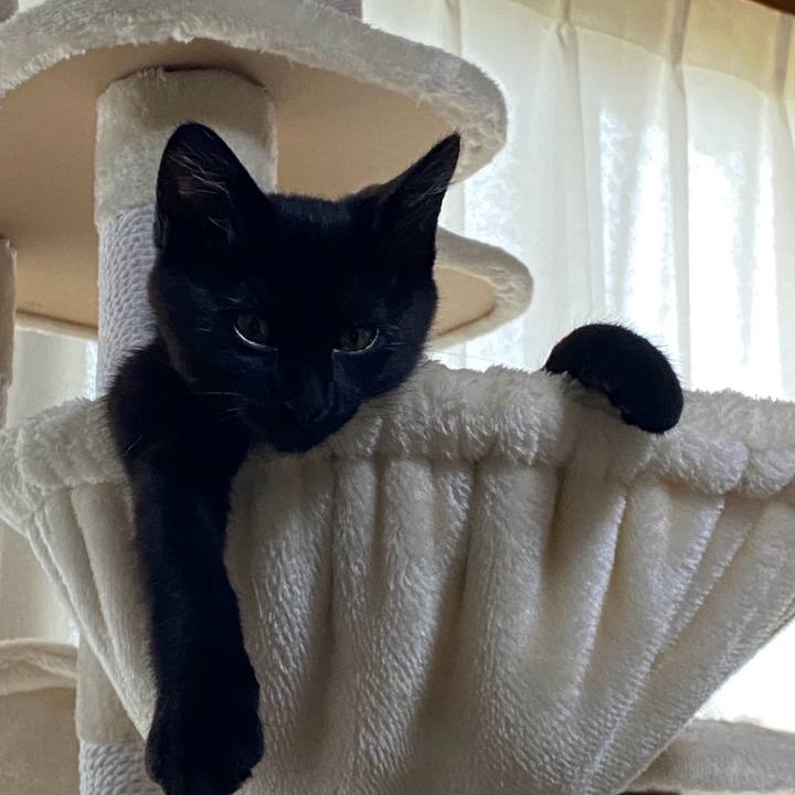 7e6c8f68 ee6b 46c2 9e26 f5bf4bfcbb91 1763989723938