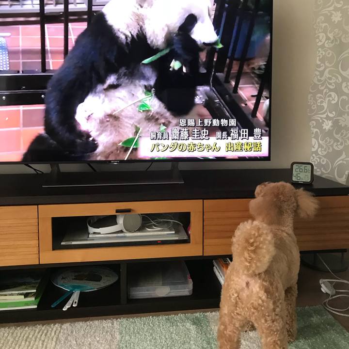 7e6cc49c 3579 447c 8ec8 a95b99459533 1533826264722