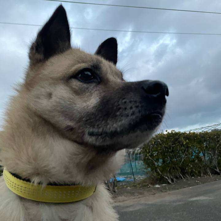 7e6ce62b ab9d 479d 886c 5f182ba97a43 1644321755310