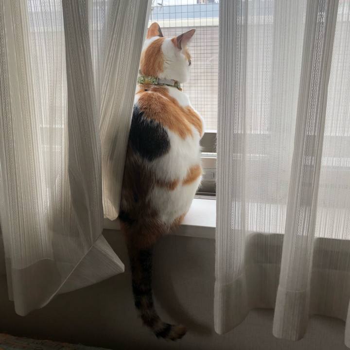 7e6ce6ea 537c 4f96 af14 caffa7415a35 1596755680529