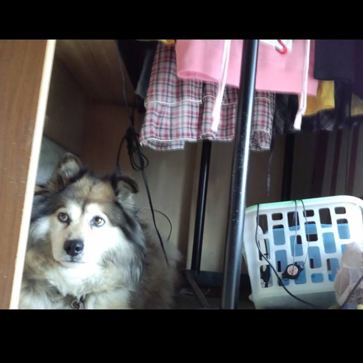 7e6d0ce8 70a1 4997 89bf 206d3d513dc2 1644461043437