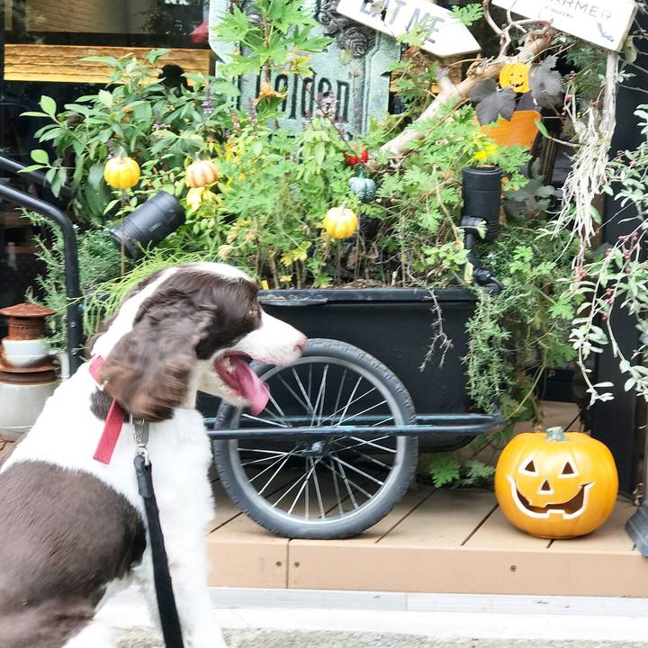 7e6d3cd7 58cc 4041 ad87 1f22b7227573 1509344270728