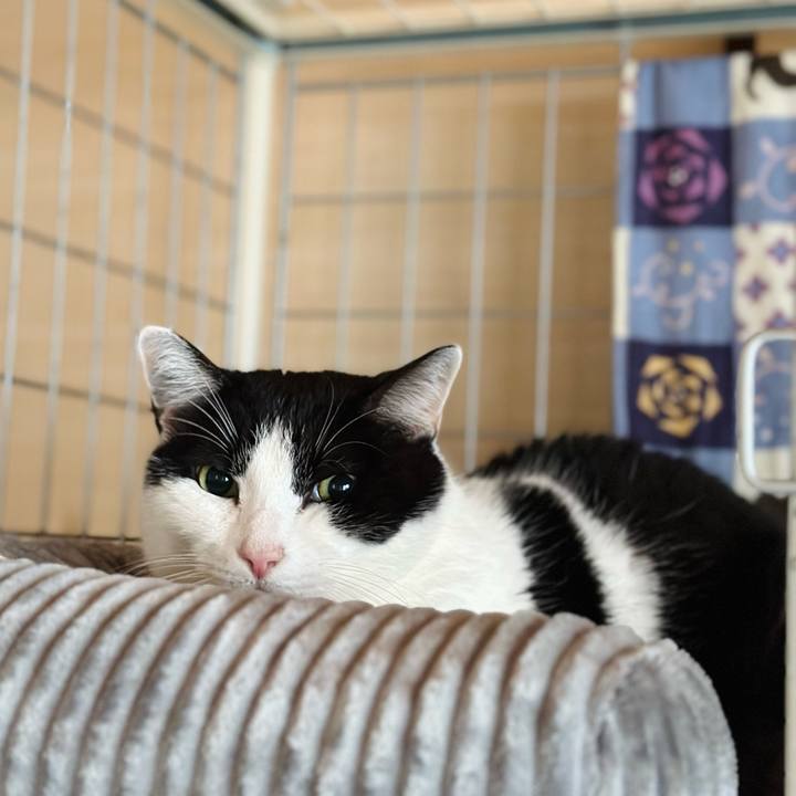 7e6d43cb c197 4352 aeb5 46804bf9e302 1710641060017