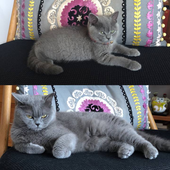 7e6db6bb c474 4079 8181 03686f2bd686 1531019098369