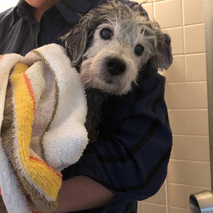 7e6dc36c f60d 47ce 89cc e438eab77a18 1556606929889