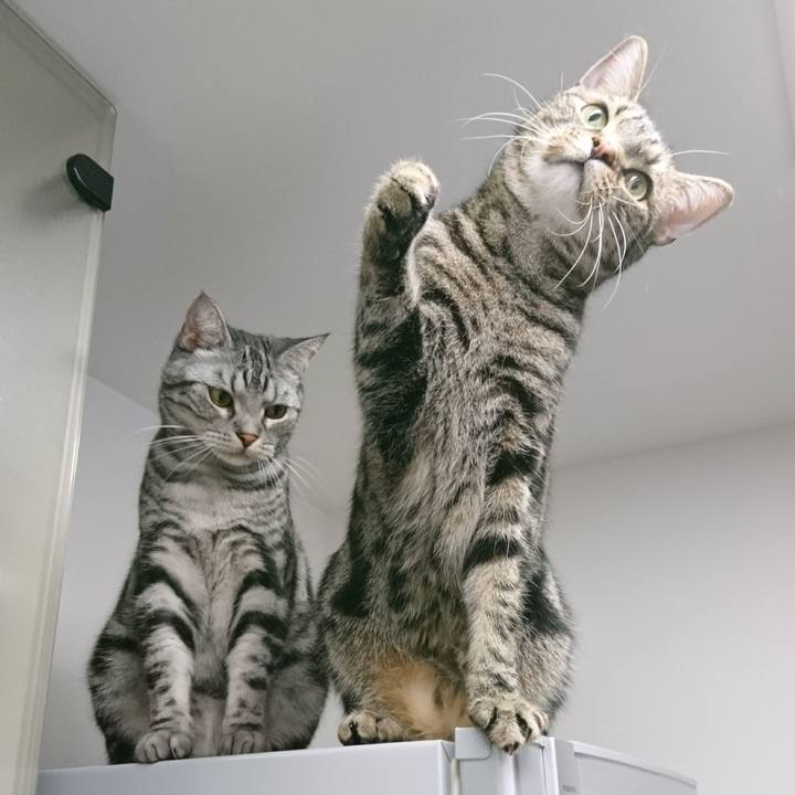 7e6deff7 60aa 4049 bd6a 737aab64b0e4 1520560588699