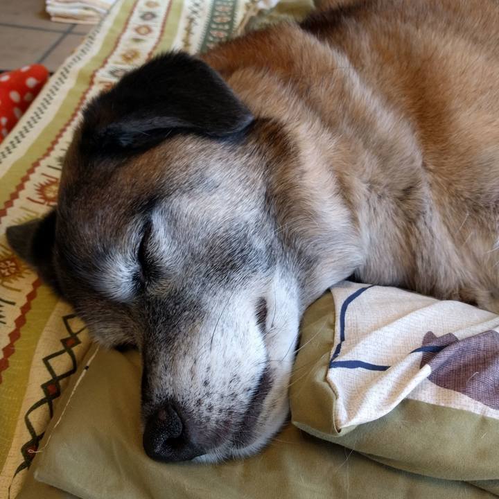 7e6e1e8b 8ee5 4023 93d5 0135bb87a8e4 1554899039645