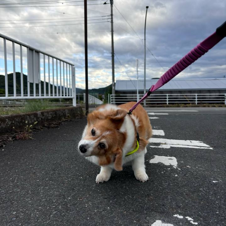 7e6e23d5 52f2 41db 8d0b ca77b9e71766 1754086170468