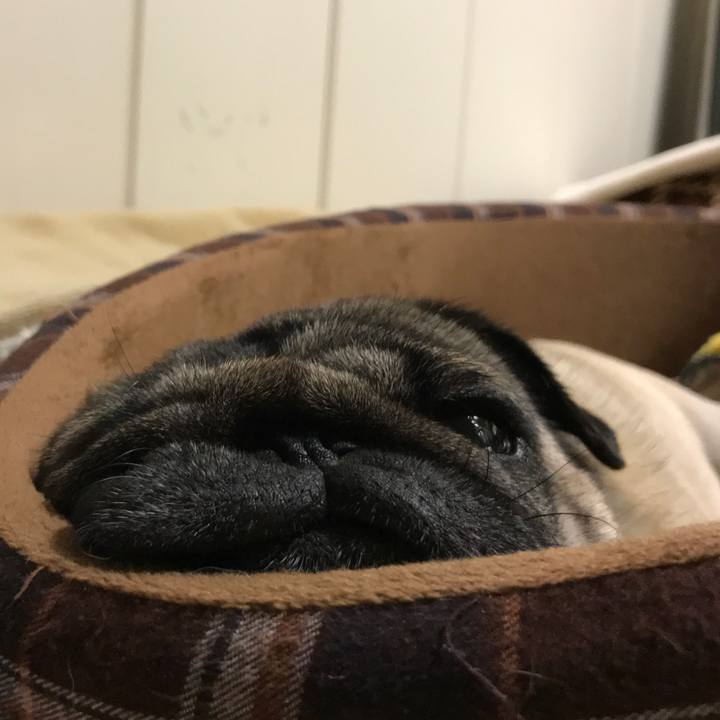 7e6e664e b13e 4668 a4fb d16751fd2ee8 1520683672000