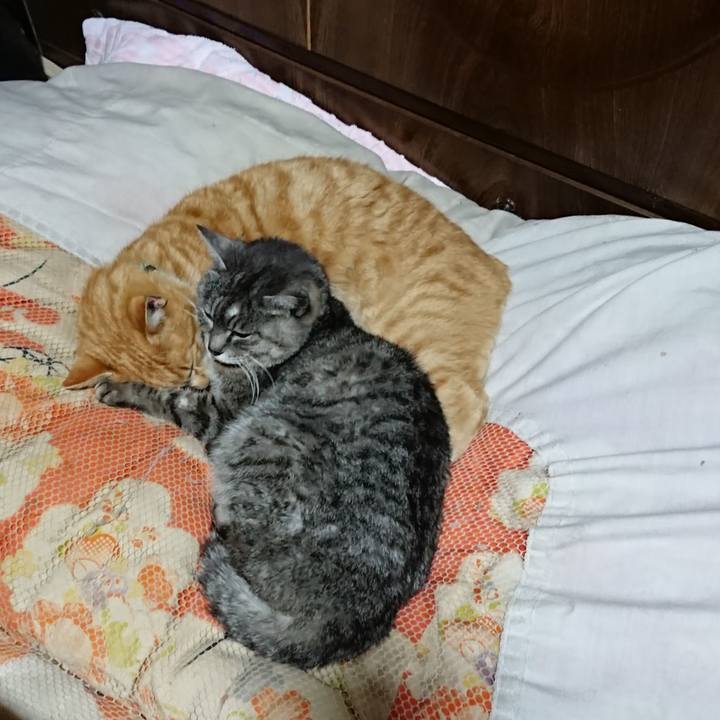 7e6e7ba8 29c0 4867 8da1 865306712773 1584449244725