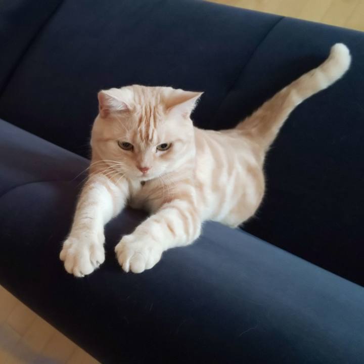 7e6f17fe 2fa0 4916 a290 861cfd4d1374 1538001944827