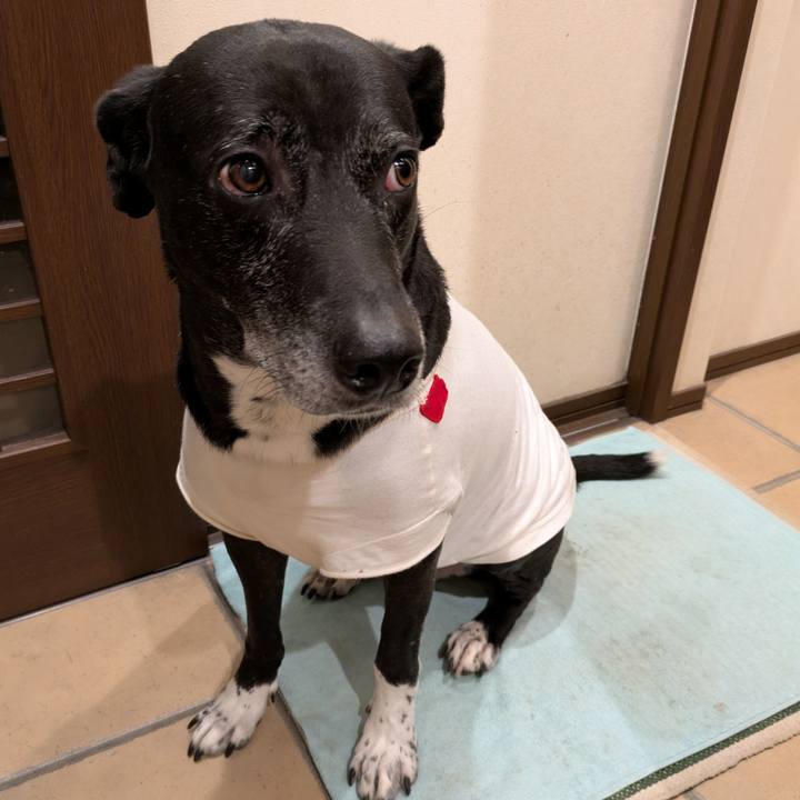 7e6f2135 f819 4614 9ba9 b302a3a4ad30 1738752530854