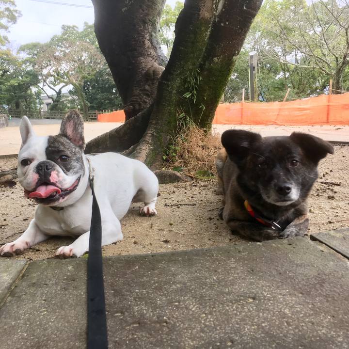 7e6f4cde 3d81 4b7a b85c 17a9ef2095c0 1521640839393