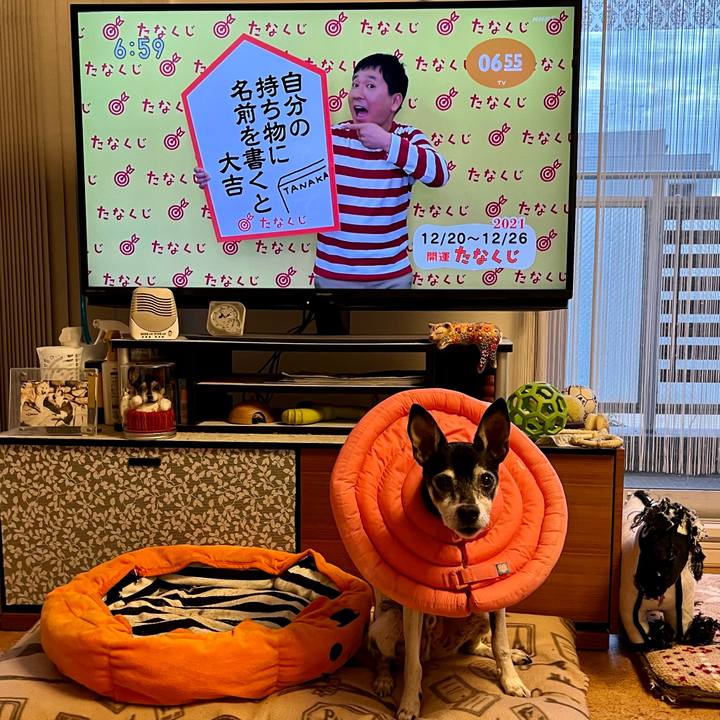 7e6f64f2 d85b 4943 8726 7b300d288645 1639952230982