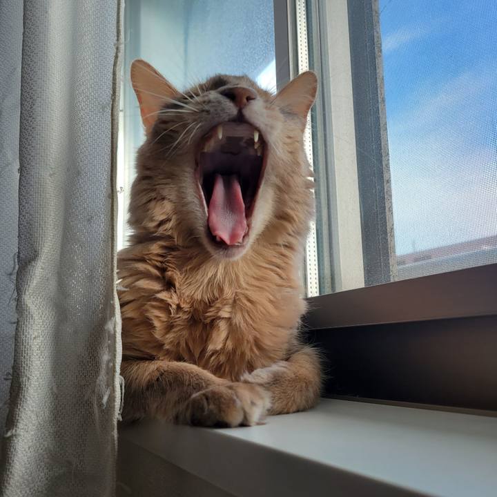 7e6fa6b2 99ea 4206 89e2 d117c6cc0b4c 1662867199375