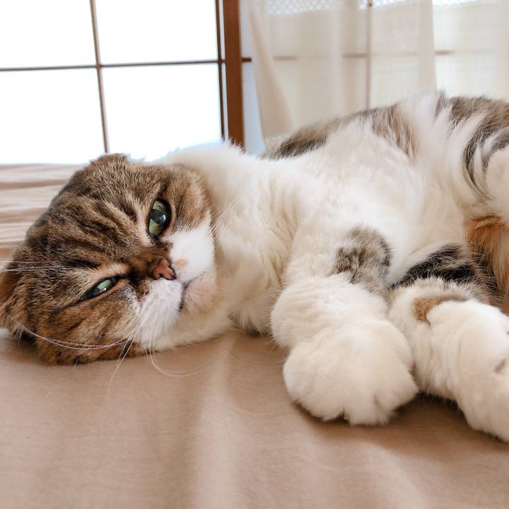 7e6fc922 efeb 481f 99ac 771fe3cbba0a 1591757632454