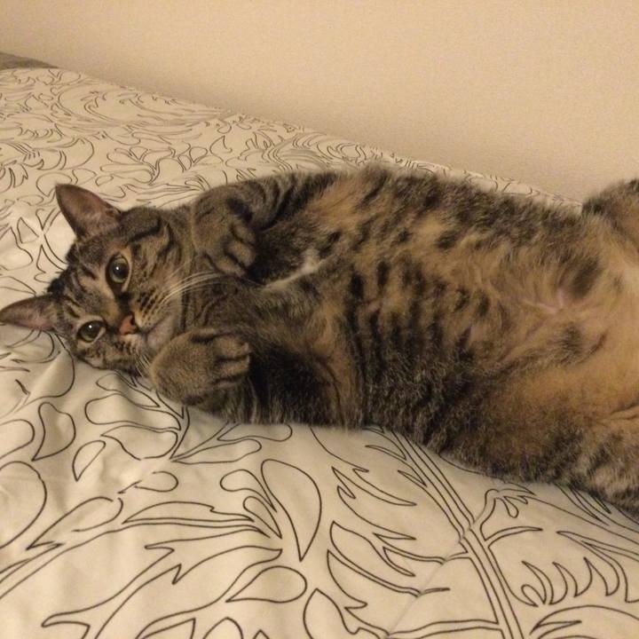 7e6fe1bd c228 4958 a9ee 0ec2f78a0373 1653920819081