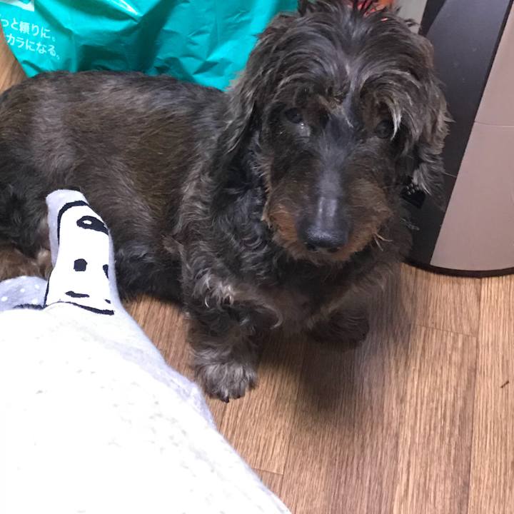 7e7028f7 bd74 43db bb99 a1c8f2bc6a01 1539503712019