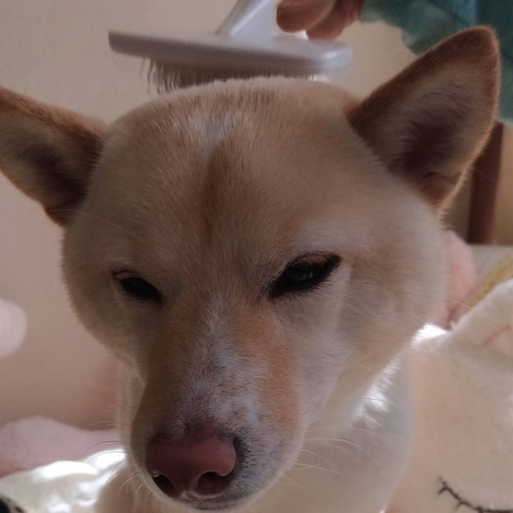 7e7030c8 248d 4ca3 8813 f95ec96ccd7b 1554170251832