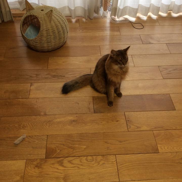 7e708340 681a 45ac b1a5 97421679a37b 1598699446445