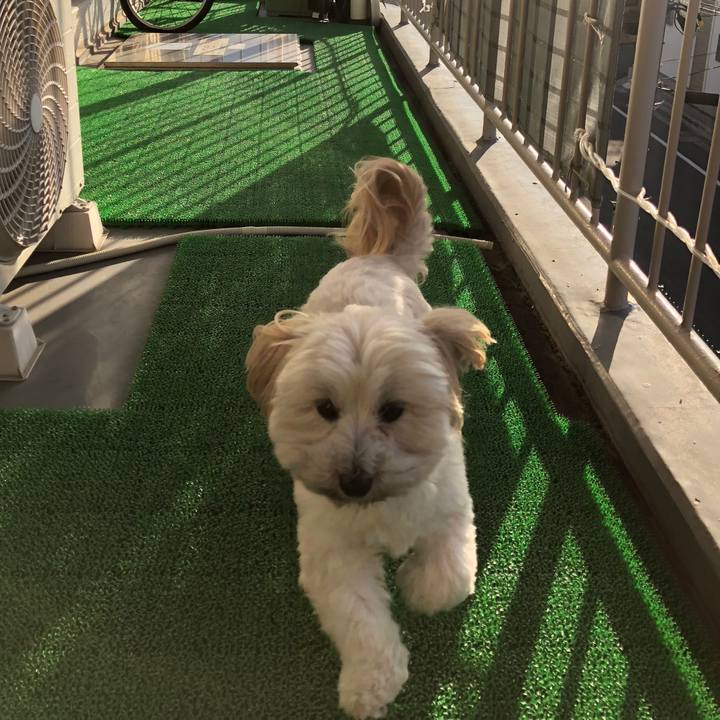 7e70a2b2 35c1 4cdd bfaa afe57c77f7dd 1512361046793