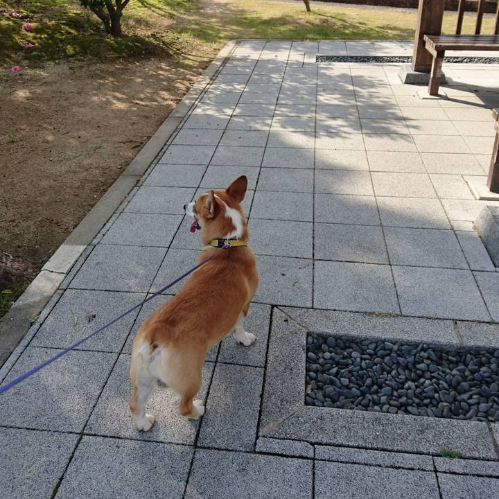 7e70a690 a340 42cb a9e7 f6f354d6af47 1574668511611