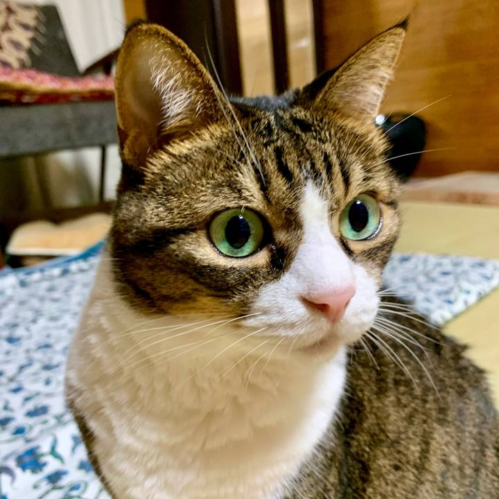 7e70a97e 3242 45ad afcf ae11a667bb78 1632575936378