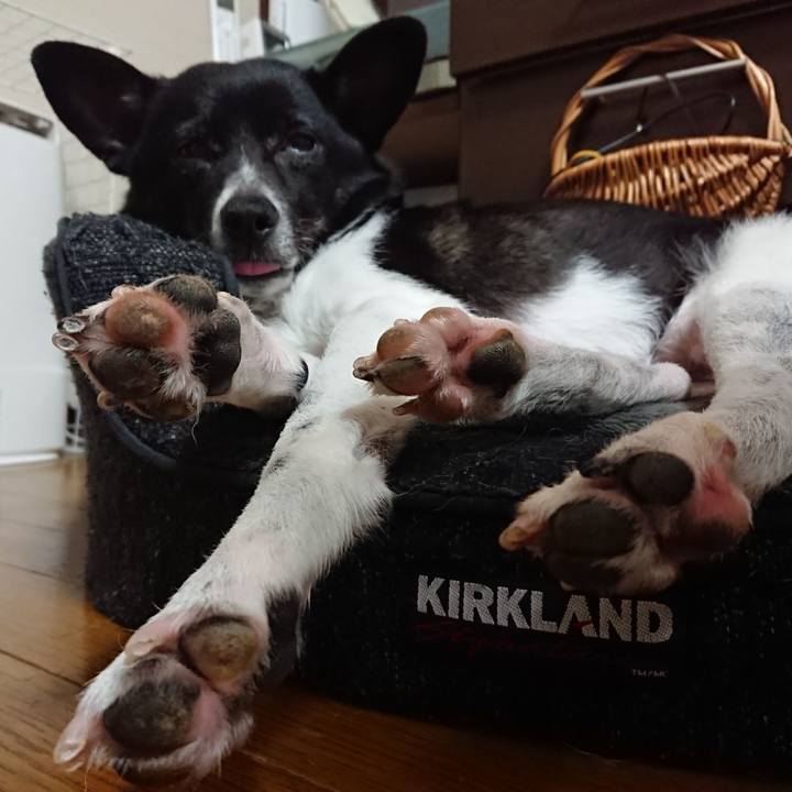 7e70aa18 28e1 4634 ad6b 8264d0c9ef37 1560951125463