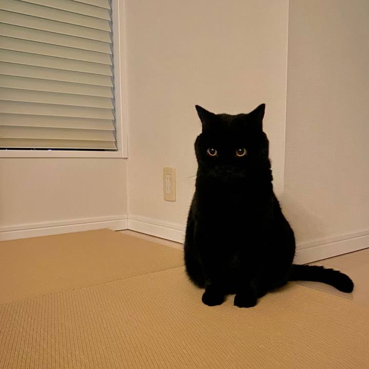 7e70b05c df2b 44e6 8195 6317adc43b4b 1696596623591